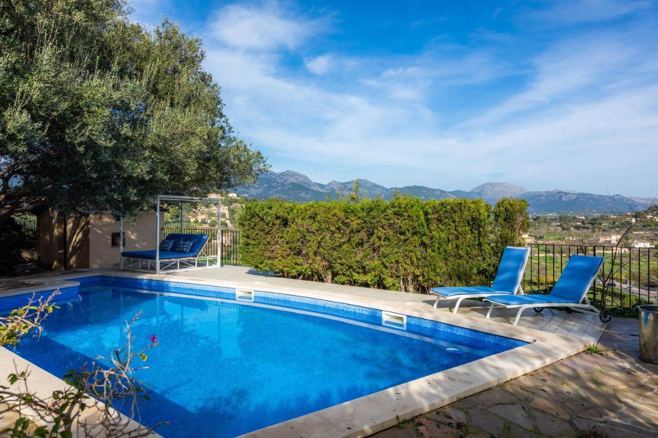 El Olivo Inca (Mallorca)