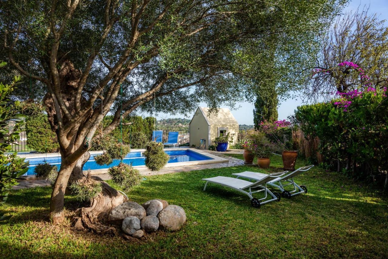 El Olivo Inca (Mallorca)