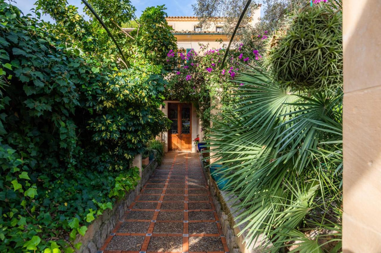 Villa El Olivo *